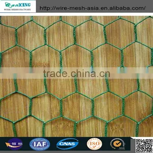 Hexagonal Wire Mesh for Dubai thumbnail-3