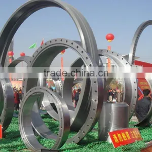 Big Forged Steel Flanges thumbnail-1