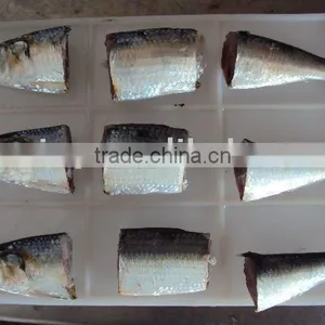 Frozen Sardine thumbnail-1