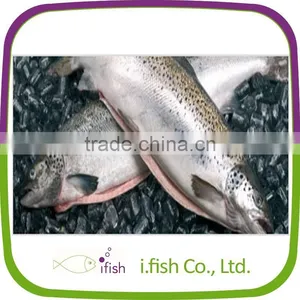 Atlantic Salmon thumbnail-1