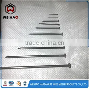 Polishing Galvanized Common Stainless Iron Round Nail thumbnail-1