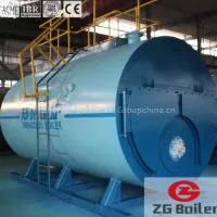 SZS Series Oil and Gas Boiler in Beverage Business thumbnail-3
