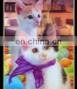 Under the Background of Green White Swan3D Lenticular Cell Phone Case thumbnail-4