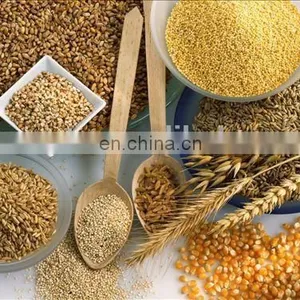 Hammer Grinder Small Hammer Mill Feed Grinder thumbnail-4