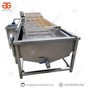 Fruit And Vegetable Cleaner Machine Vegetable Fruit Lettuce Cabbage Bubble thumbnail-2