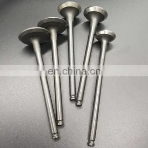 Diesel Engine Generator Spare Parts Engine Valves for MWM Deutz AG TBD 604 BL6 thumbnail-2