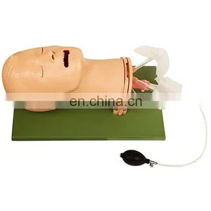 High Quality Air-way Management Model Air-way Management Manikin thumbnail-1
