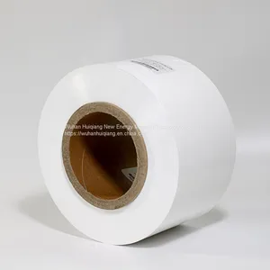 Separators for Lithium-ion Batteries thumbnail-1