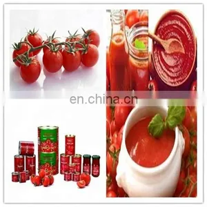 Tomato Sauce Production Line/equipment thumbnail-5