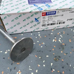 Yuchai Genuine Yuchai Diesel Engine Spare Parts 1 Set Price D30-1003111B Auto Inlet Valve thumbnail-3