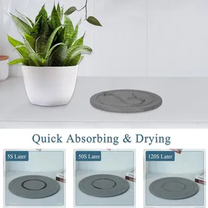 Stone Plant Pot Saucers Absorbent Quick Dry Diatomite Plant Saucer Manufacturer thumbnail-4
