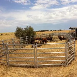 Steel Cattle Yard/Livestock Fence/Corral Fencing Panels to a Number of Cattle Yards thumbnail-3