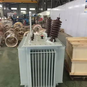 Customizable 3-Phase Oil Immersed Transformer for HV Applications 11kV-33kV thumbnail-4