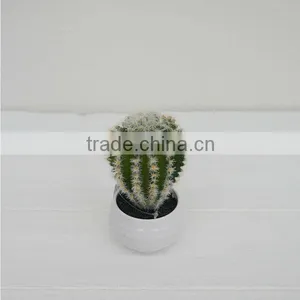 High Nature Indoor Decorative Artificial Plants Artificial Cactus Bonsai thumbnail-1