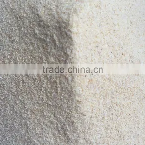 Top Quality Garlic Granules for EU/USA Market With FDA/ISO/HACCP /KOSHER Approved thumbnail-3