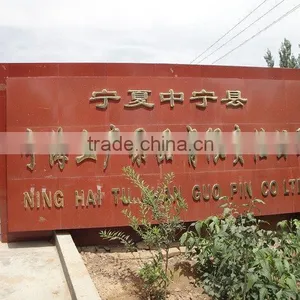 Goji Red ,tibet Goji thumbnail-3