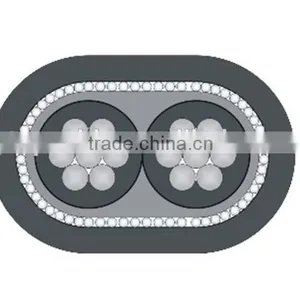 ASTM IEC Concentric Cable thumbnail-2