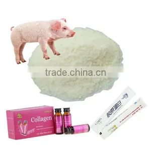 Pork Protein Powder for Meat Industry thumbnail-1