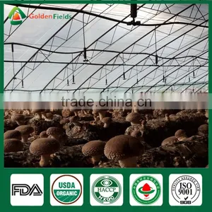 Supplier of Fresh Dried Shiitake Mushroom Growing Shiitake Mushroom Log Spawn for Mushroom Farm thumbnail-5