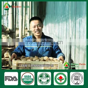 Shiitake Growing Kit,Shiitake Mushroom Spawn,Growing Shitake thumbnail-1