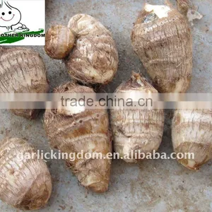 Chinese Taro From Origin thumbnail-1