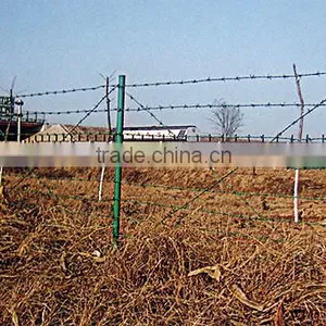 Anping Factory Low Price Barbed Wire thumbnail-6