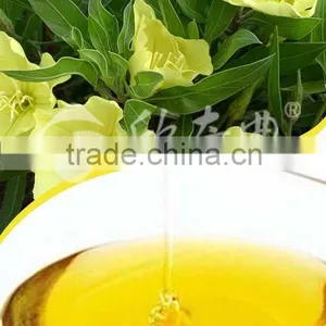 Cold Pressed Evening Primrose Oil GLA10% thumbnail-1