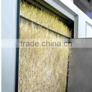 New Brand Bean Sprout Making Machine thumbnail-6