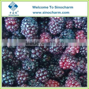 Supply Conventional Frozen Blackberry thumbnail-1