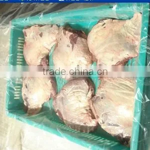 Frozen Cheak Meat thumbnail-1