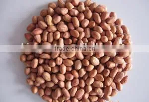 Supply High Quality Peanut Kernels thumbnail-3