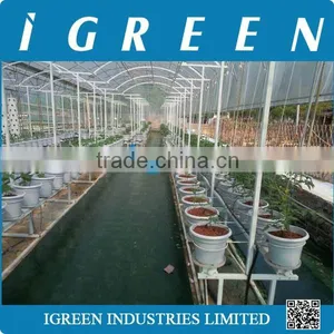 Dutch Pot Vegetable Growing System thumbnail-2