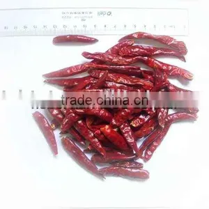 Tianying Chili thumbnail-1