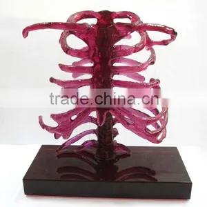 Crystal Skeleton Statues--home Decoration Craft--BJ159 thumbnail-1