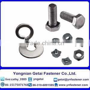 Square Nuts DIN928 Carbon Steel M4 M6 M8 M10 Hot Dip Galvanized Electro Galvanized thumbnail-4