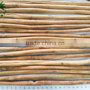 Grade A Cinnamon Stick thumbnail-1