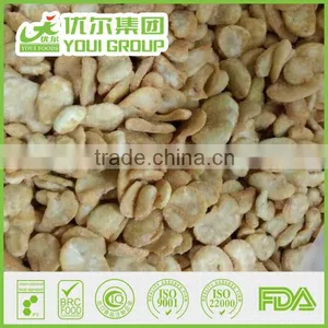 Roasted, Seasoned Broad Beans thumbnail-1