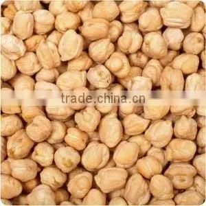 High Grade Chickpeas thumbnail-1