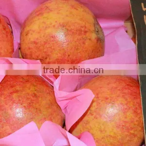 Fresh Sweet Pomegranate Crops 2015 thumbnail-4