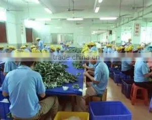 Shenzhen Zhenyan Toy Gift Co., Ltd. company overview - view 2 thumbnail