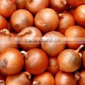 Fresh Red Onion thumbnail-1
