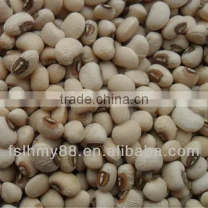 Northeast China Pink Cowpea thumbnail-1