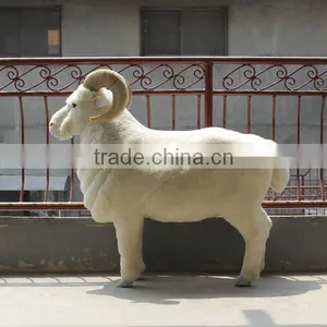 Realistic Taxidermy Replica Figurine Life Size Artificial Goat Model thumbnail-1