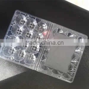 12 Quail Eggs Clear Pet Plastic Egg Carton/quail Egg Trays/packing Quail Egg Trays thumbnail-1