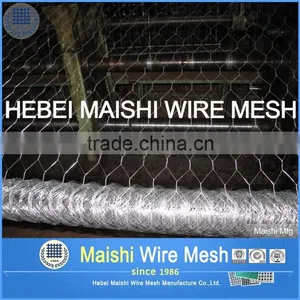 Bird Wire Mesh Hexagonal Weaved Wire Netting thumbnail-4