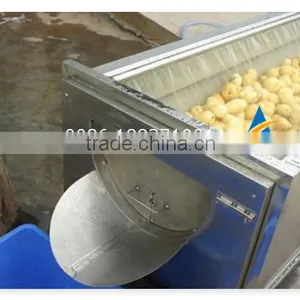 Industrial Brush Type Vegetable and Fruit Washing Machine thumbnail-6