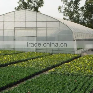 BaoLiDa Single Span Greenhouse thumbnail-1