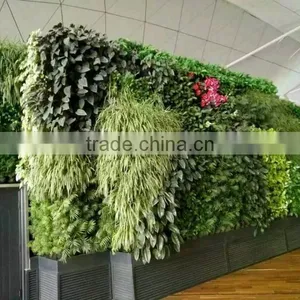 SJ1801298 Resturant Decoration Green Plant Walls thumbnail-3