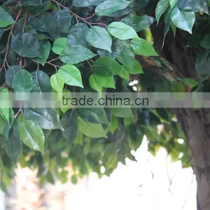 Export High Similarity Artificial Banyan Tree thumbnail-4