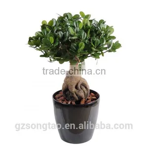 Artificial Bonsai Tree Topiary Gingseng Ficus Bonsai Tree thumbnail-4